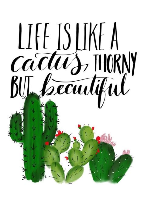 A good marriage is like a cactus